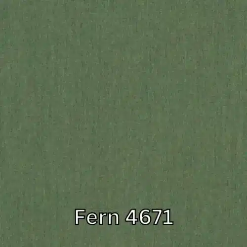 Fern 4671