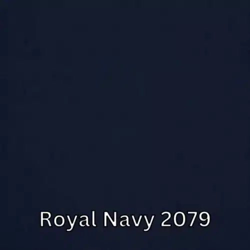 Royal Navy 2079