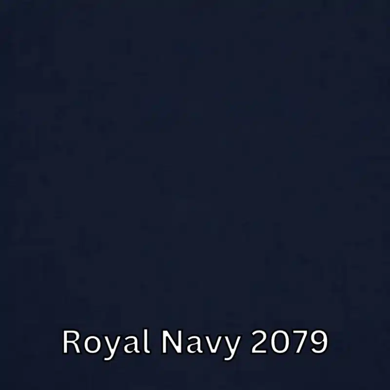 Royal Navy 2079