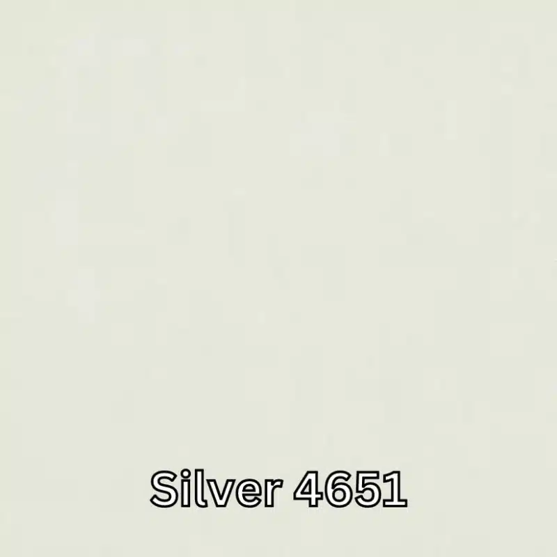 Silver 4651