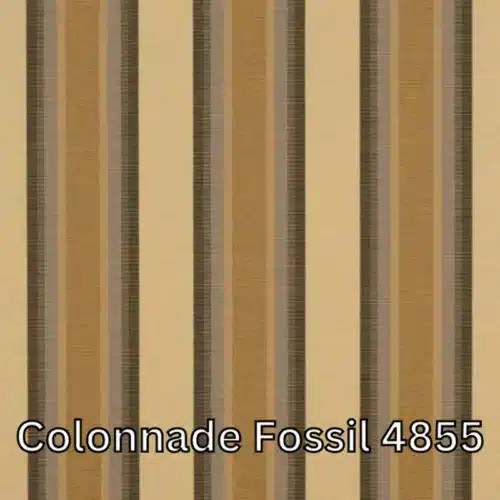 colonnade fossil 4855