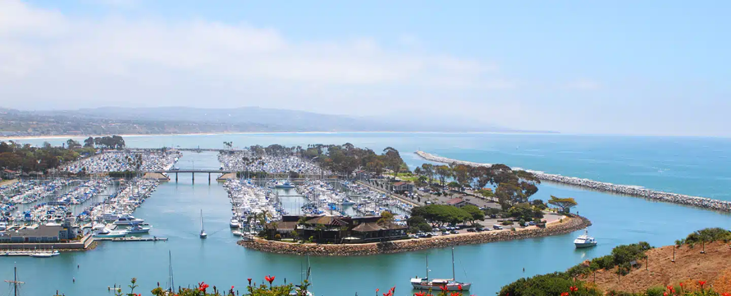 dana point aerial view