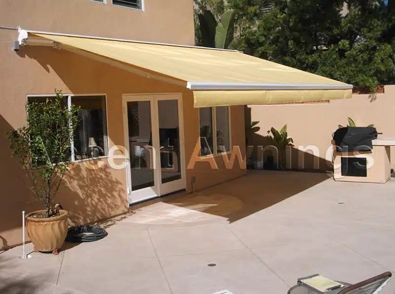 Elite Cassette RPA Gallery 4